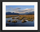 Pitt_Lake_Marsh.jpg