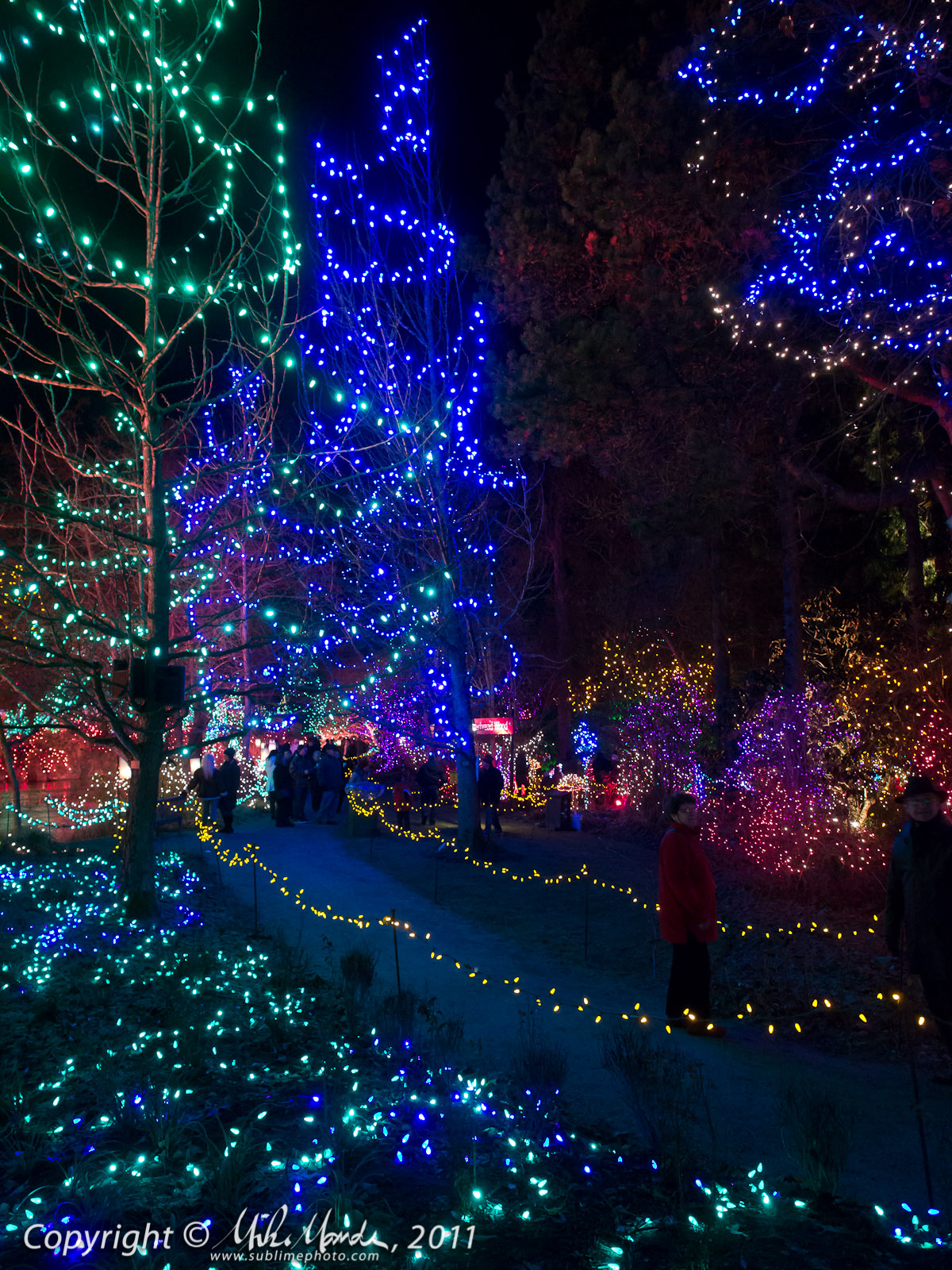 Photography by Mike Mander | 2011 Festival of Lights - Van Dusen ...